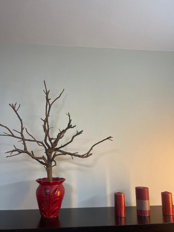Prickly Pear Corner Appartement *
