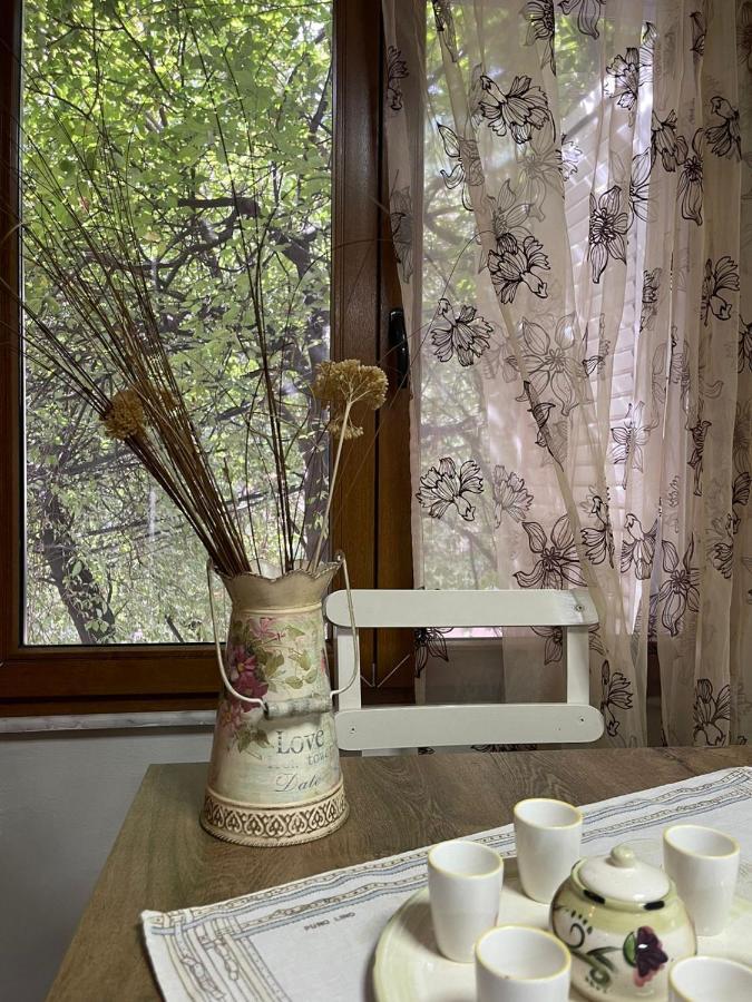 Prickly Pear Corner Appartement